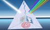lab_ser_san